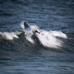 World Surf Kayak Championships 2017 #